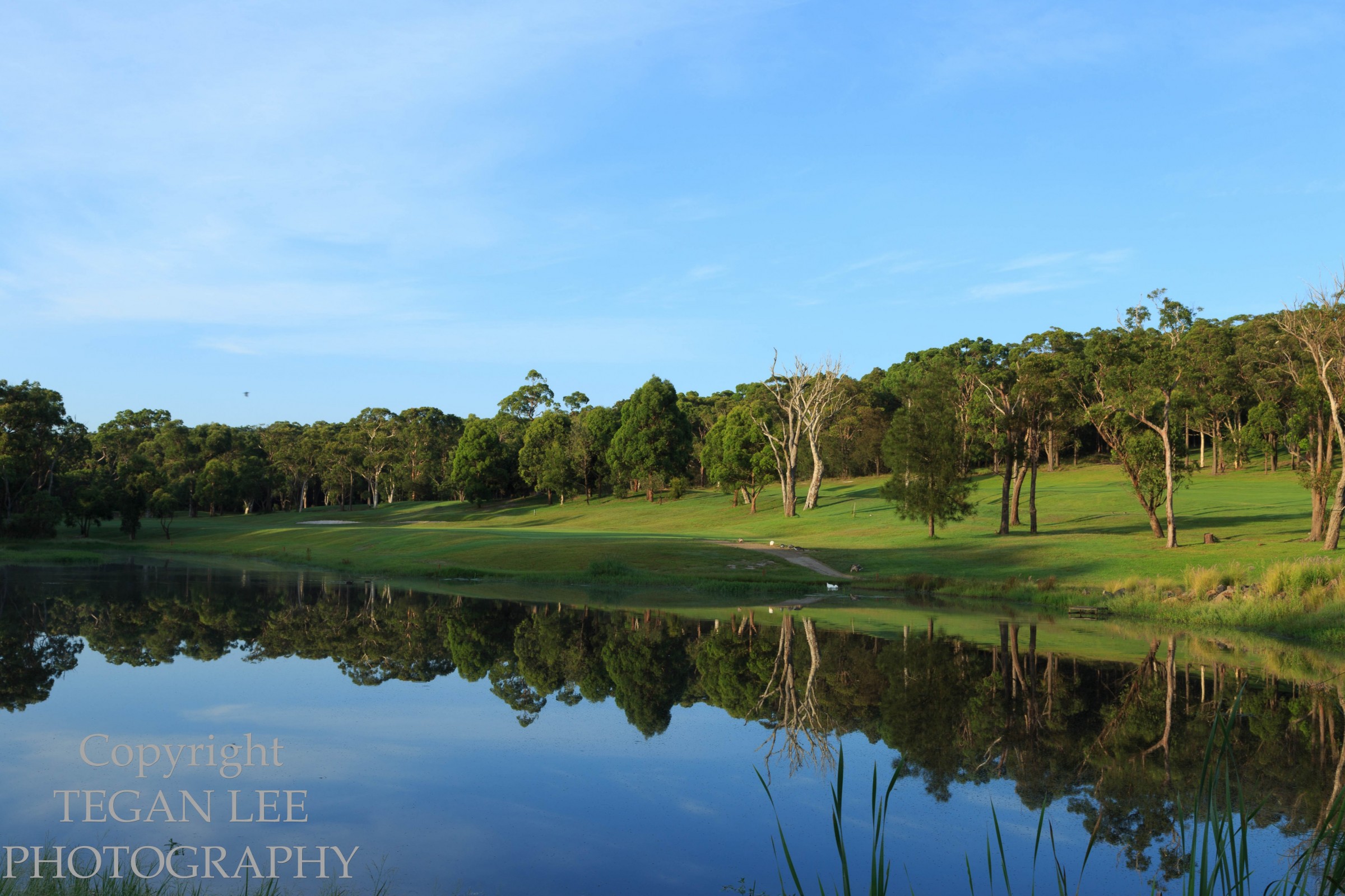 Tournament Golf is set to GO across NSW